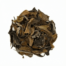 BC-2 Шоу Мэй Гао Шань, Фудин