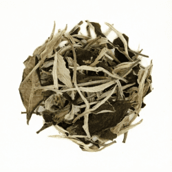 BC-5 Юэ Гуанбай, Юньннань